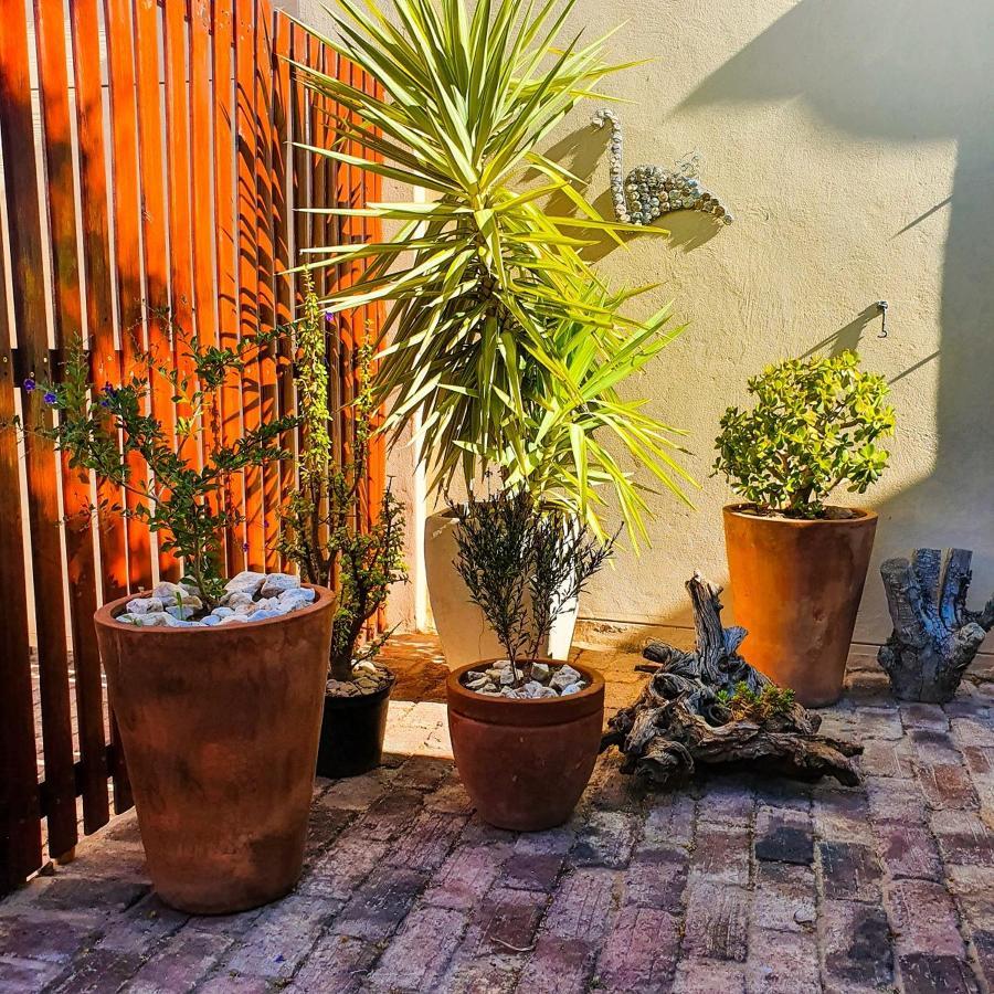 Koppie Cottage Prince Albert Dış mekan fotoğraf